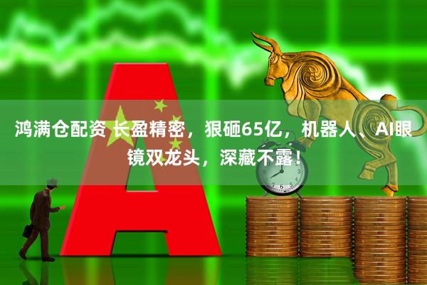 鸿满仓配资 长盈精密，狠砸65亿，机器人、AI眼镜双龙头，深藏不露！